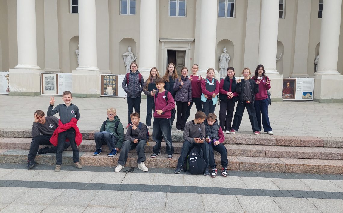 5d. vilniaus mieste