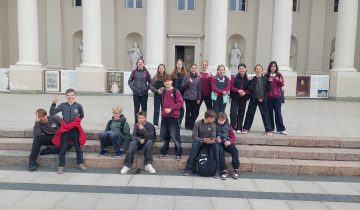 5d. vilniaus mieste