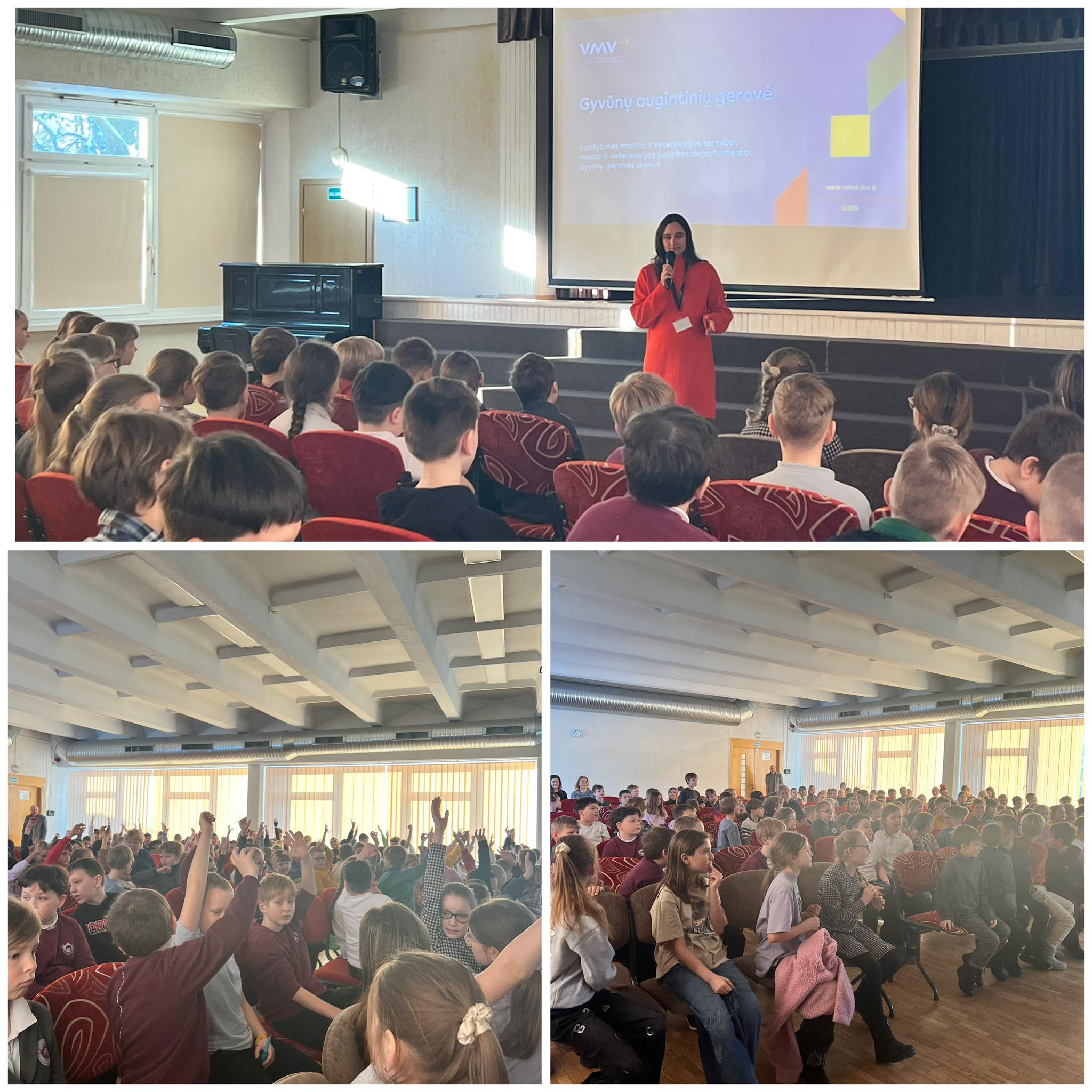 624294432_1561175182677717_5652588731797441541_n