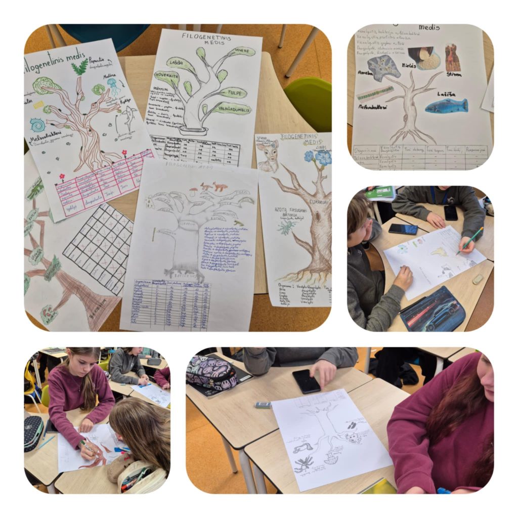 631554098_1571427511652484_8616571979846107563_n