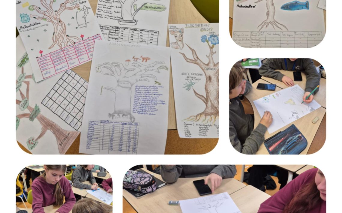 631554098_1571427511652484_8616571979846107563_n