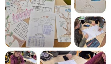 631554098_1571427511652484_8616571979846107563_n