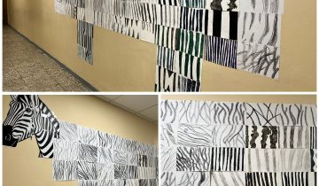 667849705_1623842156411019_4601228058576149500_n