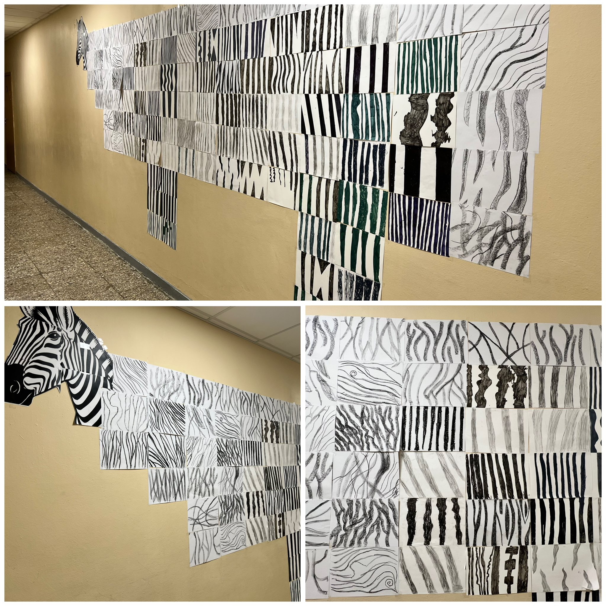 667849705_1623842156411019_4601228058576149500_n